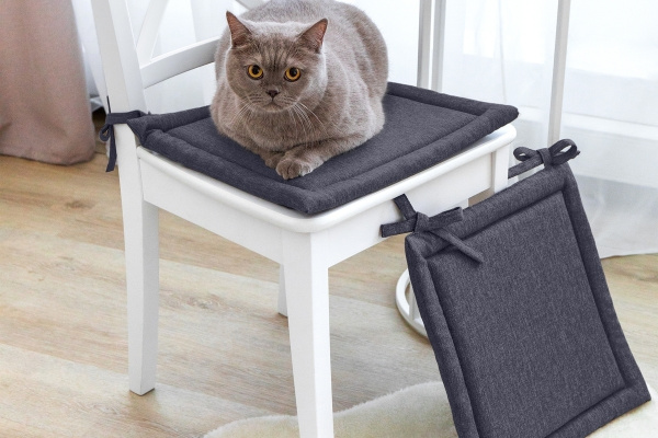 eb96e812-6d75-4031-a26a-edcc42c91666